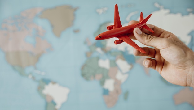 Quero que meu empregado doméstico viaje comigo, o que eu preciso saber?