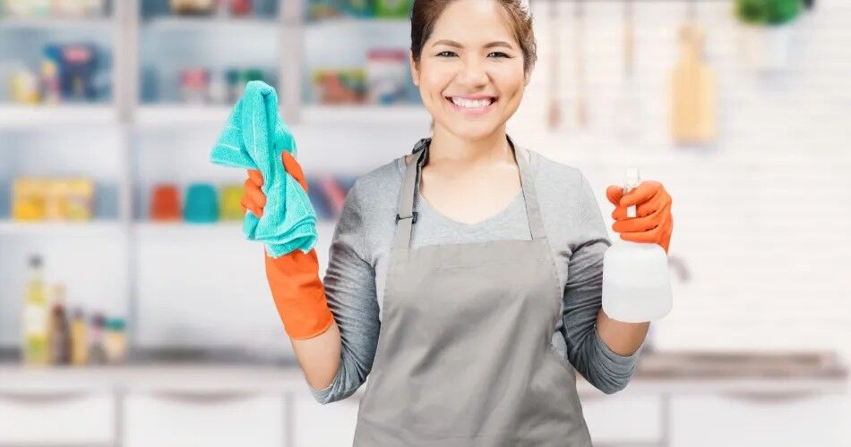 Salário Mínimo Doméstica 2026 SP RJ PR SC RS [Atualizado]