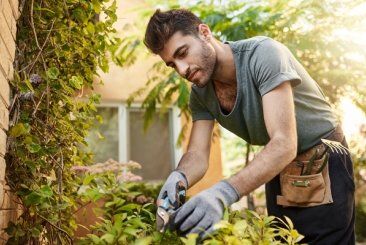 Jardineiro que trabalha alguns dias por semana precisa ser registrado? Jardineiro que trabalha alguns dias por semana precisa ser registrado?