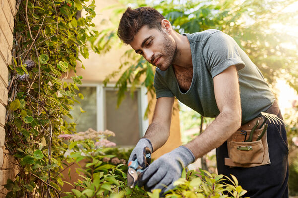 Jardineiro que trabalha alguns dias por semana precisa ser registrado?