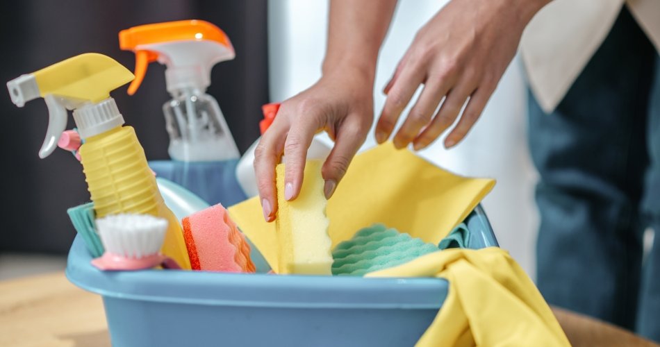 A importância da formalização do trabalho doméstico