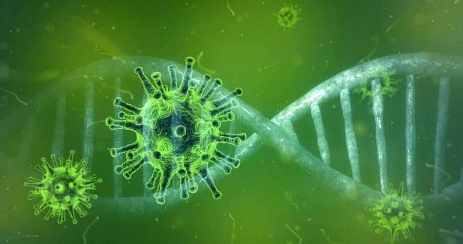 Medidas trabalhistas para empregadores durante pandemia