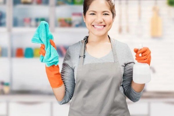 Salário Mínimo Doméstica 2026 SP RJ PR SC RS [Atualizado]